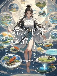 综穿平凡之旅